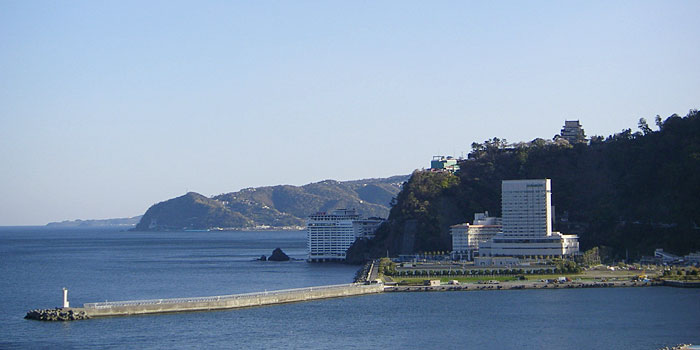 新卒採用